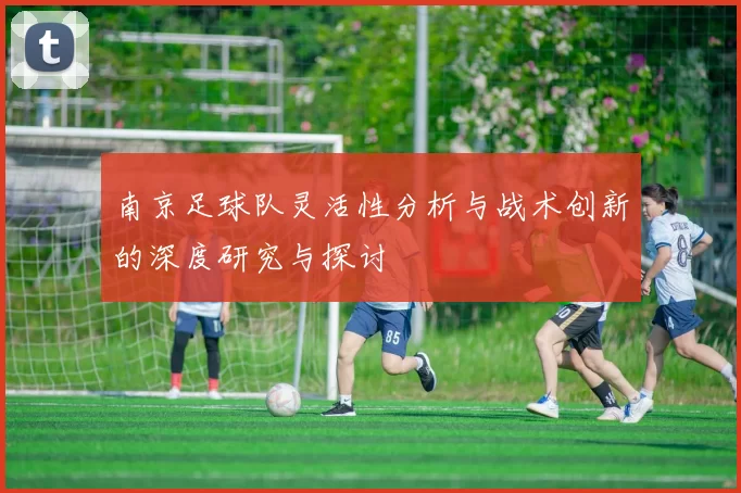 南京足球队灵活性分析与战术创新的深度研究与探讨