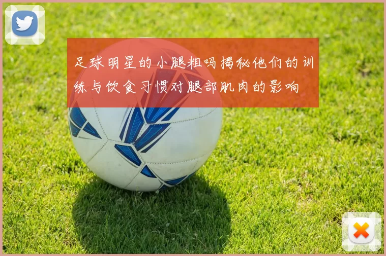足球明星的小腿粗吗揭秘他们的训练与饮食习惯对腿部肌肉的影响