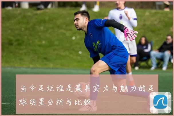当今足坛谁是最具实力与魅力的足球明星分析与比较