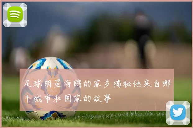 足球明星海鸥的家乡揭秘他来自哪个城市和国家的故事