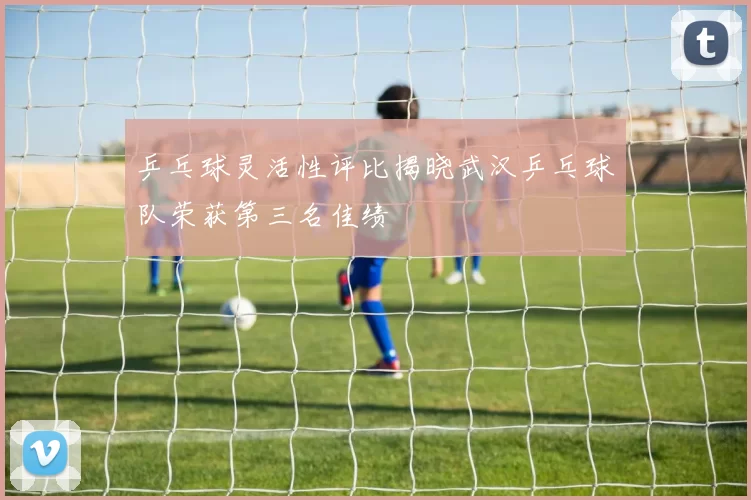 乒乓球灵活性评比揭晓武汉乒乓球队荣获第三名佳绩
