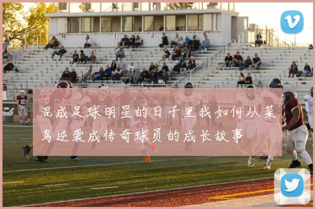 混成足球明星的日子里我如何从菜鸟逆袭成传奇球员的成长故事