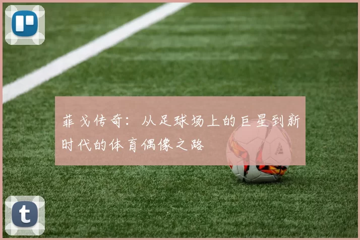 菲戈传奇：从足球场上的巨星到新时代的体育偶像之路