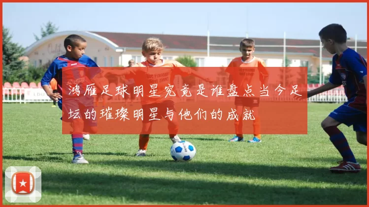 鸿雁足球明星究竟是谁盘点当今足坛的璀璨明星与他们的成就