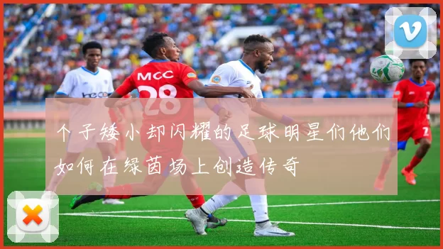 个子矮小却闪耀的足球明星们他们如何在绿茵场上创造传奇