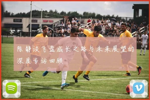 陈静谈飞盘成长之路与未来展望的深度专访回顾