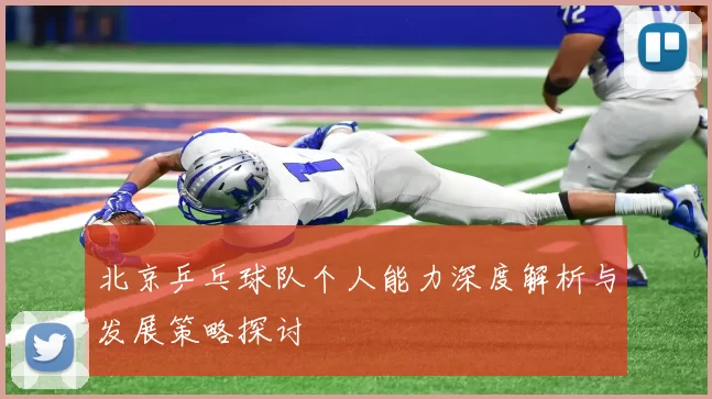 北京乒乓球队个人能力深度解析与发展策略探讨