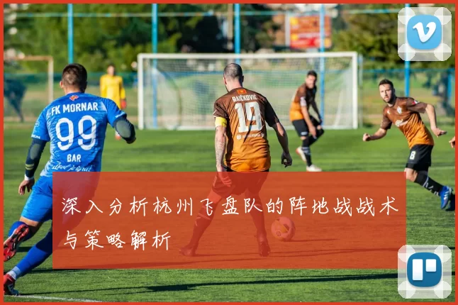 深入分析杭州飞盘队的阵地战战术与策略解析