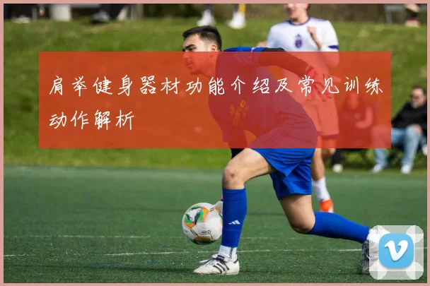 肩举健身器材功能介绍及常见训练动作解析