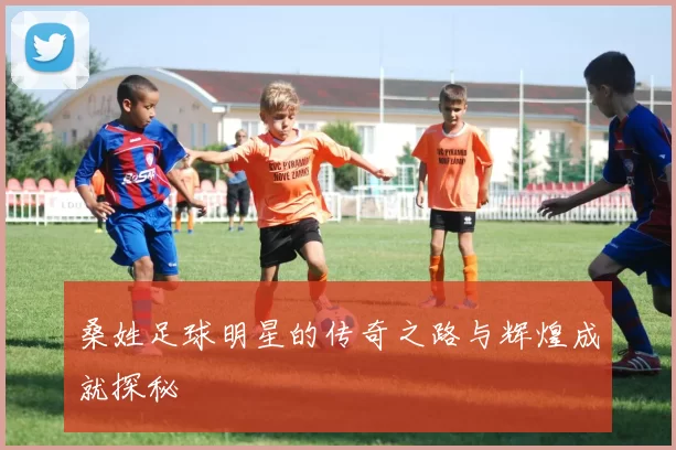 桑姓足球明星的传奇之路与辉煌成就探秘