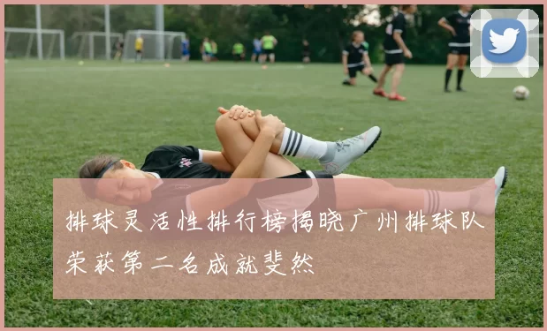 排球灵活性排行榜揭晓广州排球队荣获第二名成就斐然