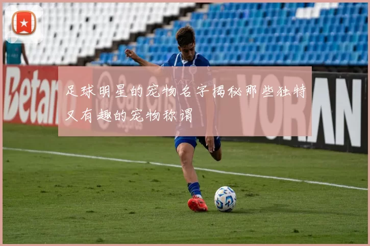 足球明星的宠物名字揭秘那些独特又有趣的宠物称谓