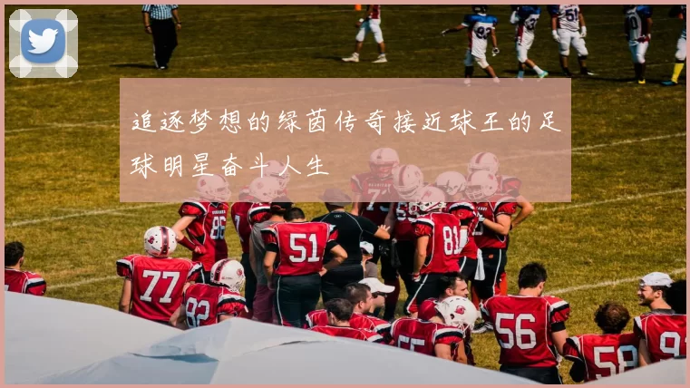 追逐梦想的绿茵传奇接近球王的足球明星奋斗人生