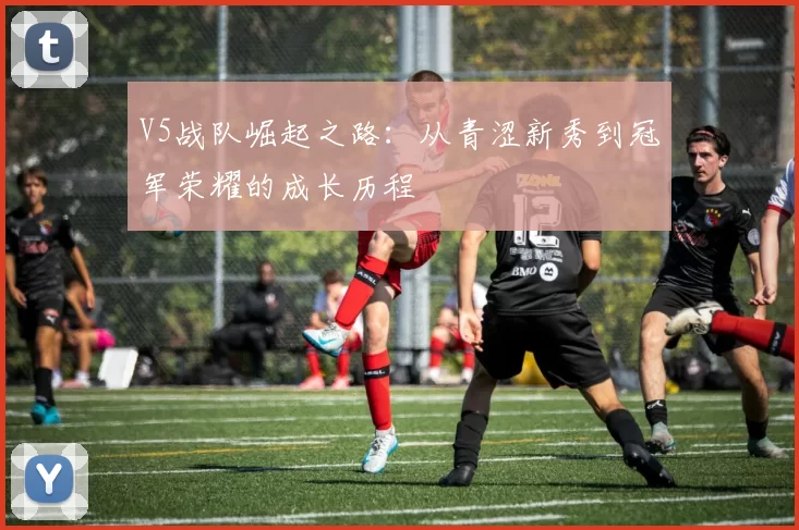 V5战队崛起之路：从青涩新秀到冠军荣耀的成长历程