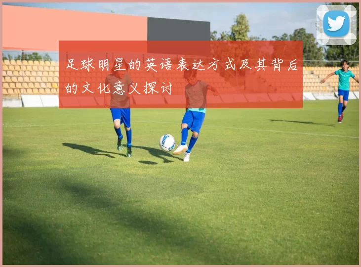 足球明星的英语表达方式及其背后的文化意义探讨