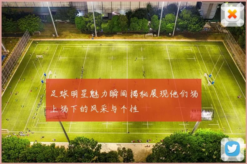足球明星魅力瞬间揭秘展现他们场上场下的风采与个性