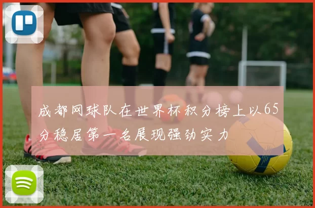 成都网球队在世界杯积分榜上以65分稳居第一名展现强劲实力
